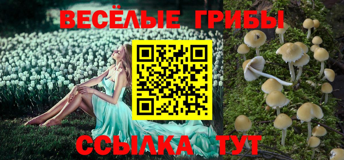 где купить наркоту  Псилоцибиновые грибы мухоморы  Галлюциногенные грибы Psilocybine cubensis  Вход с VPN  Биробиджан 