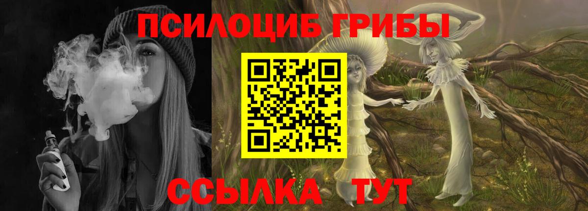 Галлюциногенные грибы мицелий Биробиджан