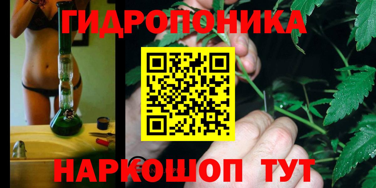 Шишки марихуана семена  Шишки марихуана планчик  Вход с VPN  Биробиджан  Шишки марихуана LSD WEED 